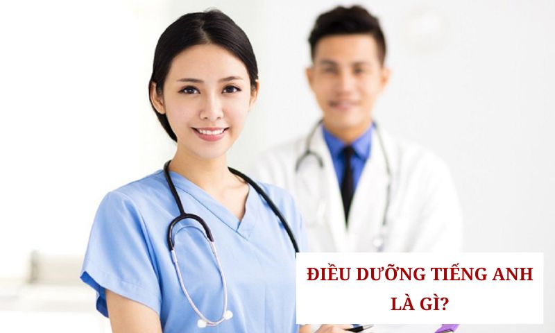 Ngành điều dưỡng dịch nghĩa sang tiếng anh là gì?