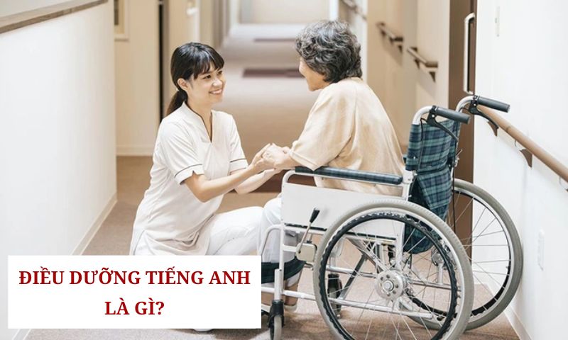 Từ vựng tiếng Anh các loại bệnh điều dưỡng viên thường gặp 