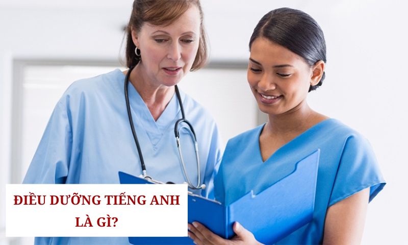 Thành thạo kỹ năng nghe, nói, đọc, viết tiếng Anh mở ra nhiều cơ hội việc làm