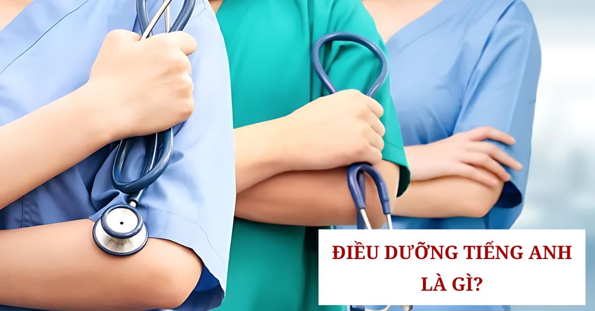 Điều dưỡng tiếng anh là gì? 60+ từ vựng chuyên ngành 