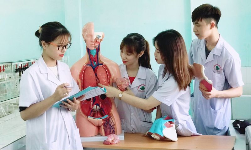 Chương trình đào tạo của Trường Cao đẳng Y Dược Tuệ Tĩnh Hà Nội chi tiết