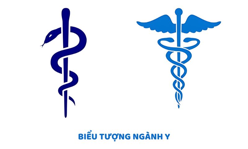 Hai biểu tượng của ngành Y phổ biến trên toàn cầu 