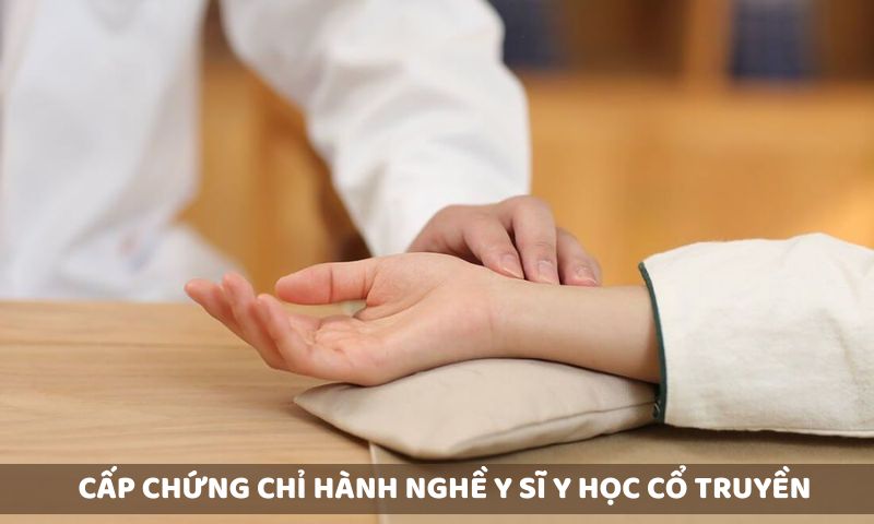 Cơ quan có thẩm quyền cấp phép chứng chỉ hành nghề Y sĩ Y học cổ truyền