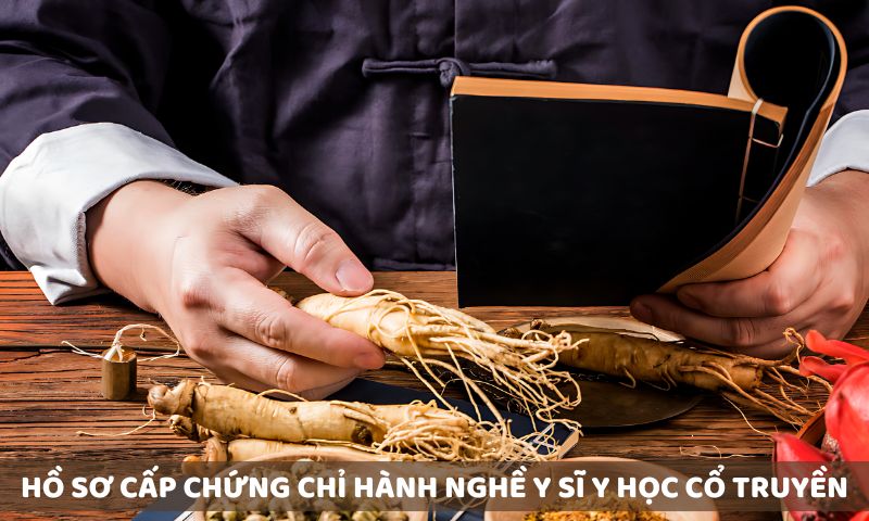 Hồ sơ cấp chứng chỉ Y sĩ Y học cổ truyền