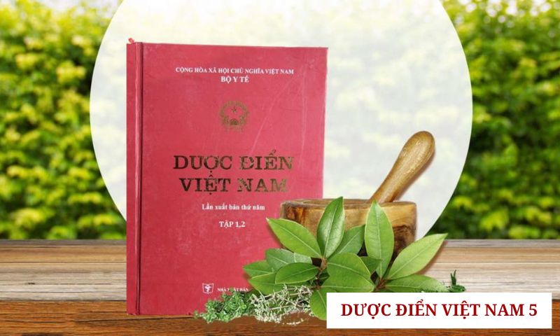 Nội dung của Dược điểm 5 Việt Nam 