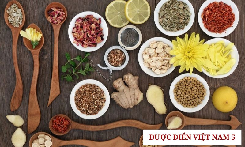 Dược điển Việt Nam bao gồm yêu cầu về thuốc