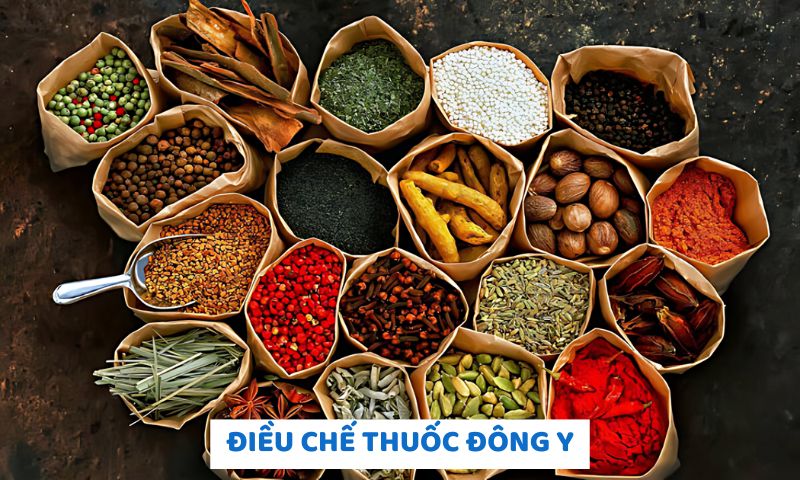 Thầy thuốc và học thuyết âm dương