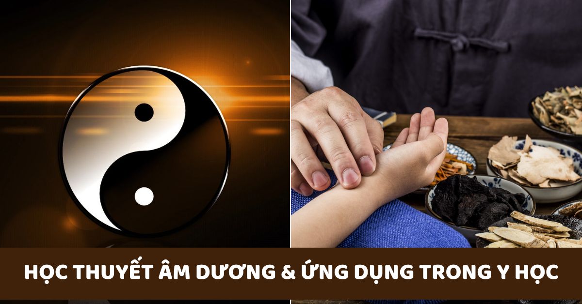 Học thuyết Âm Dương là gì? Ứng dụng trong lĩnh vực y học 