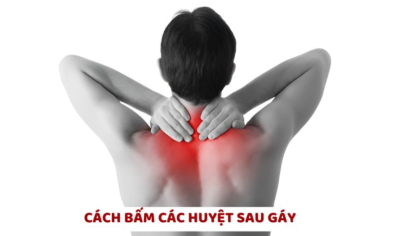 cách bấm huyệt giúp chữa đau vai gáy  