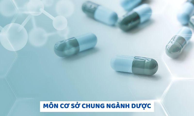 Tổng hợp các môn cơ sở chung của ngành Dược 