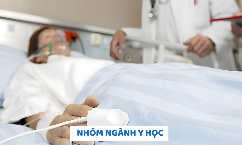 Nhóm ngành y học 