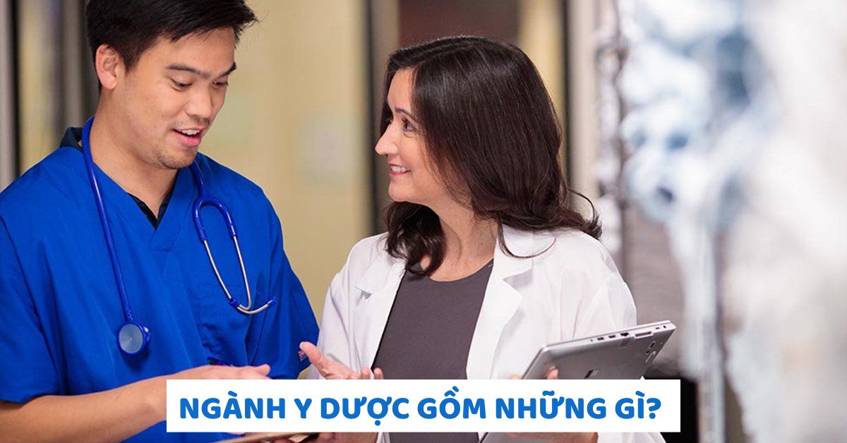 Ngành Y Dược gồm những gì? Chi tiết các nhóm ngành Y Dược