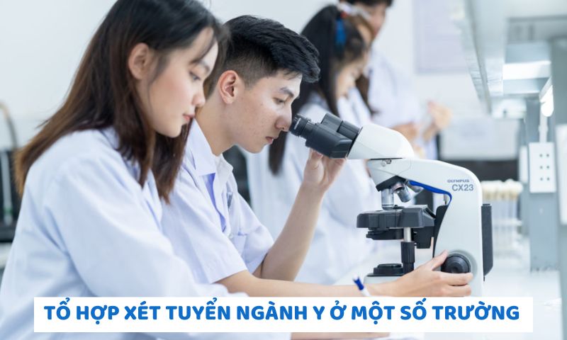 Ví dụ về ngành Y thi tuyển khối nào ở một số trường tiêu biểu