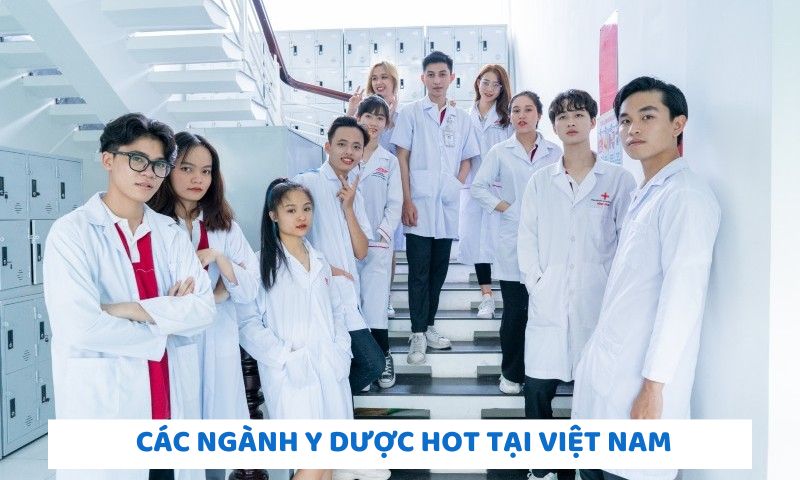 4+ ngành Y hot tại Việt Nam, được nhiều học sinh lựa chọn 