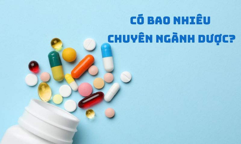 Ngành Dược tại các trường được chia thành 5 chuyên ngành chính 