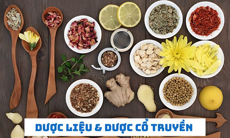 Chuyên ngành Dược liệu và dược cổ truyền rất được yêu thích 