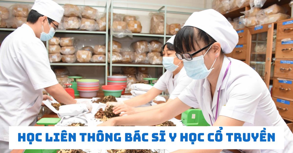 Chương trình liên thông bác sĩ y học cổ truyền A – Z