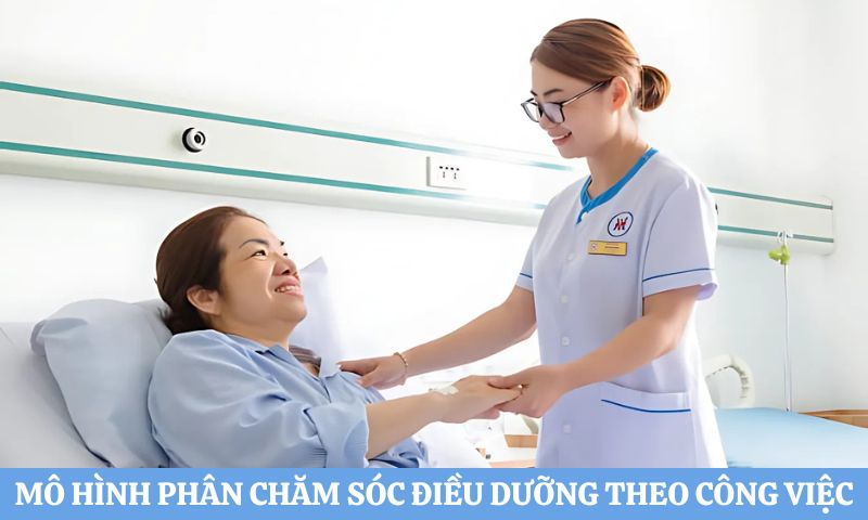 Các mô hình chăm sóc điều dưỡng