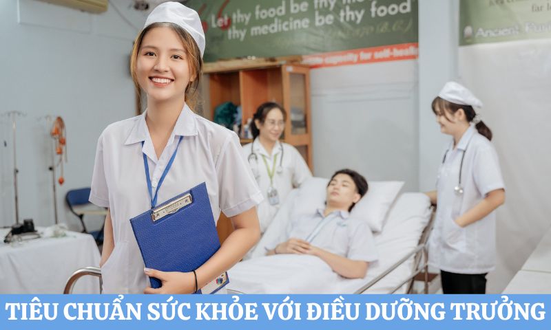 Tiêu chuẩn bổ nhiệm điều dưỡng trưởng khoa chi tiết