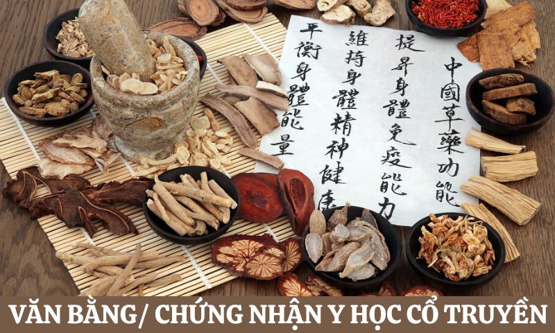Điều kiện để được cấp Chứng chỉ hành nghề Y học Cổ truyền