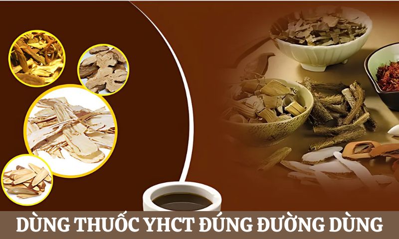 Chú ý sử dụng thuốc Y học Cổ truyền 