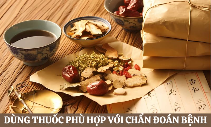 Dùng thuốc Y học Cổ truyền 