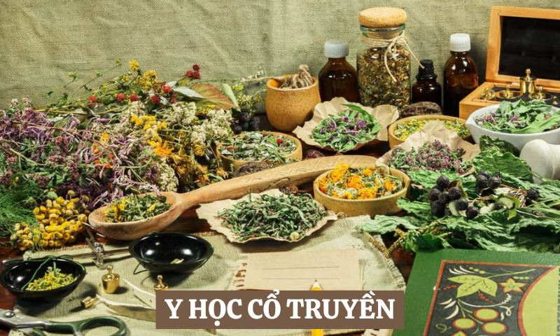 Y học Cổ truyền chữa bệnh gì