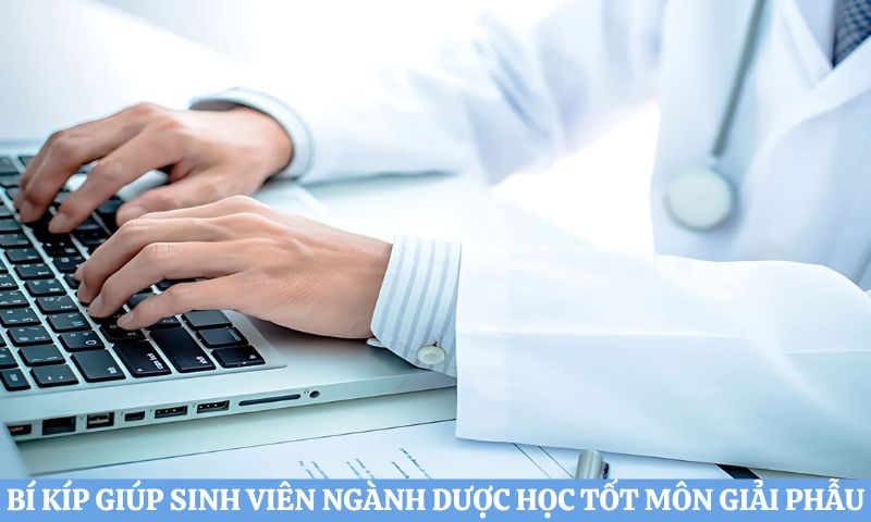 giải đáp Học Dược có học giải phẫu không