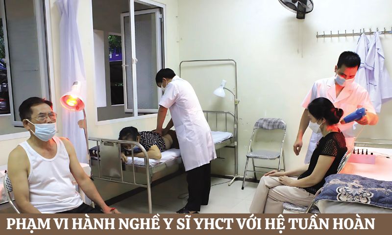 Phạm vi hành nghề của Y sĩ Y học Cổ truyền trong lĩnh vực hệ tuần hoàn