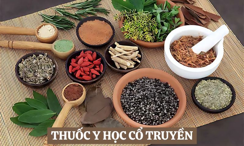  thuốc Y học Cổ truyền 