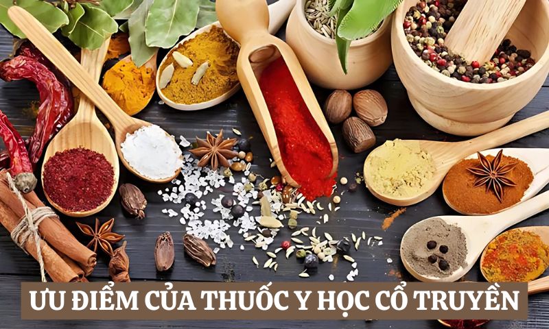 Ưu điểm của thuốc Y học Cổ truyền 