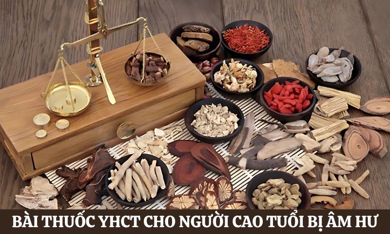 Bài thuốc y học cổ truyền cho người cao tuổi trị âm hư