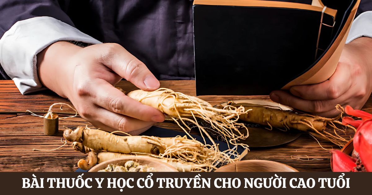 Bài thuốc y học cổ truyền cho người cao tuổi hiệu quả 