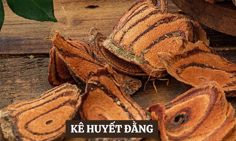 Y học Cổ truyền chữa đau nhức xương khớp huyết đằng 