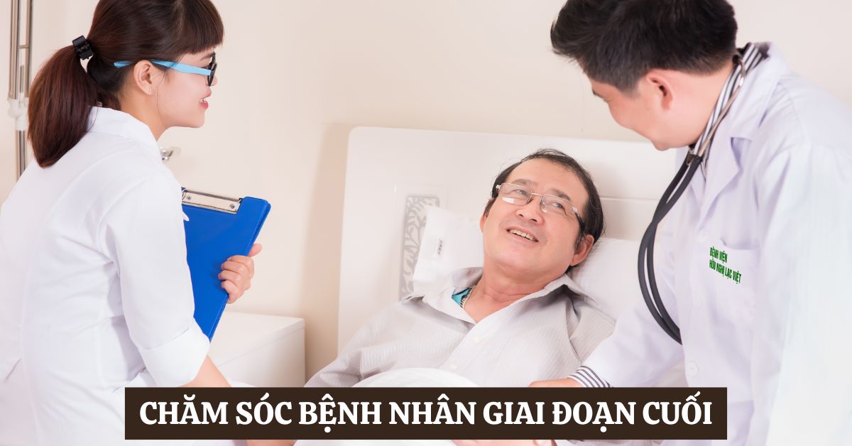 Chăm sóc bệnh nhân giai đoạn cuối: Hành trình đặc biệt 