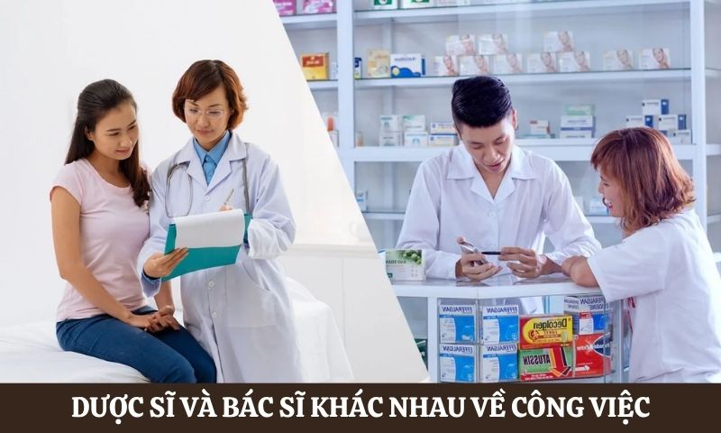 Dược sĩ và bác sĩ khác nhau như thế nào về công việc