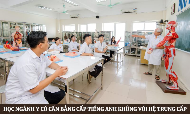 Học ngành y có cần bằng cấp tiếng Anh không