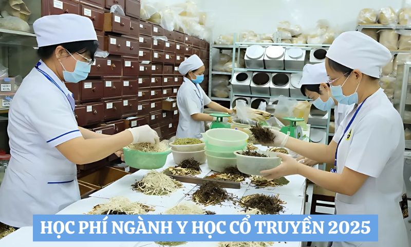Học phí ngành y học cổ truyền 2025 chi tiết từng trường
