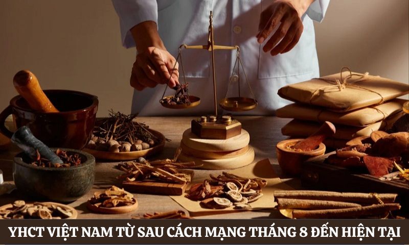 Lịch sử ngành y học cổ truyền Việt Nam sau cách mạng tháng 8 đến hiện tại