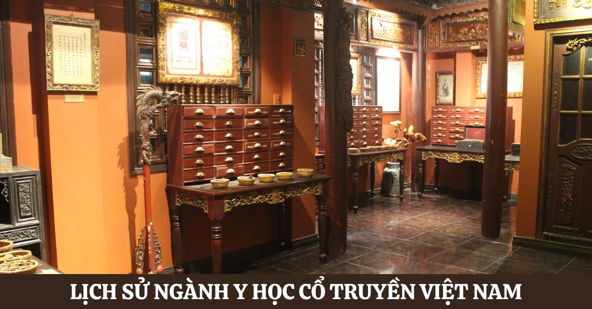 Lịch sử ngành Y học cổ truyền Việt Nam: Cột mốc quan trọng