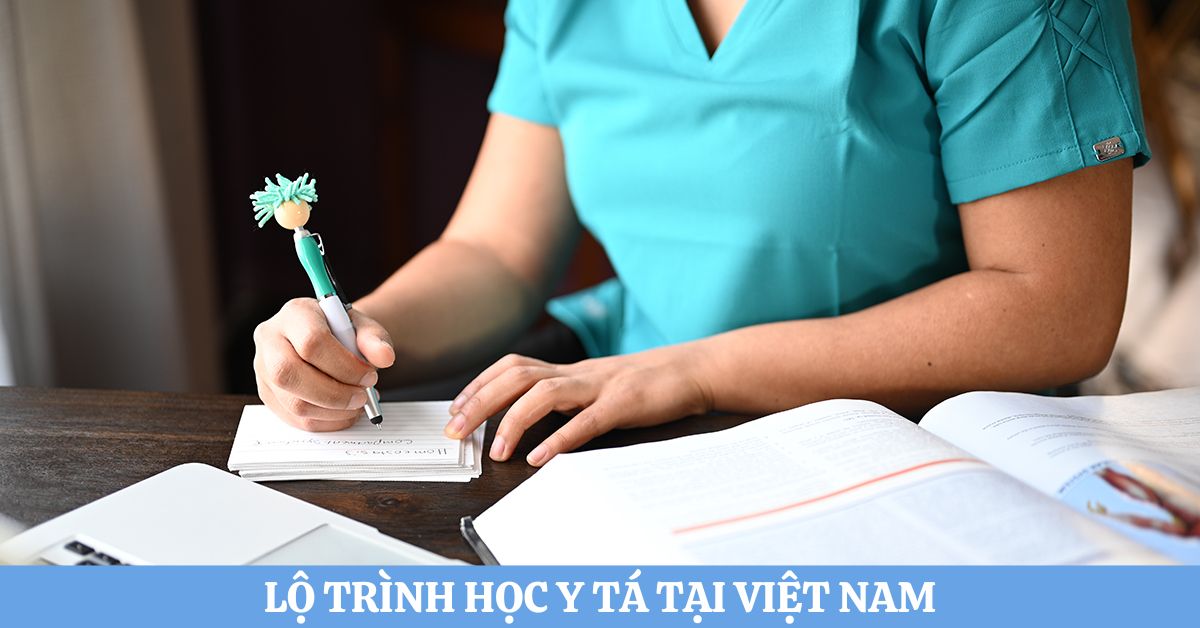 Lộ trình học y tá tại Việt Nam chi tiết từ A-Z bạn nên biết 