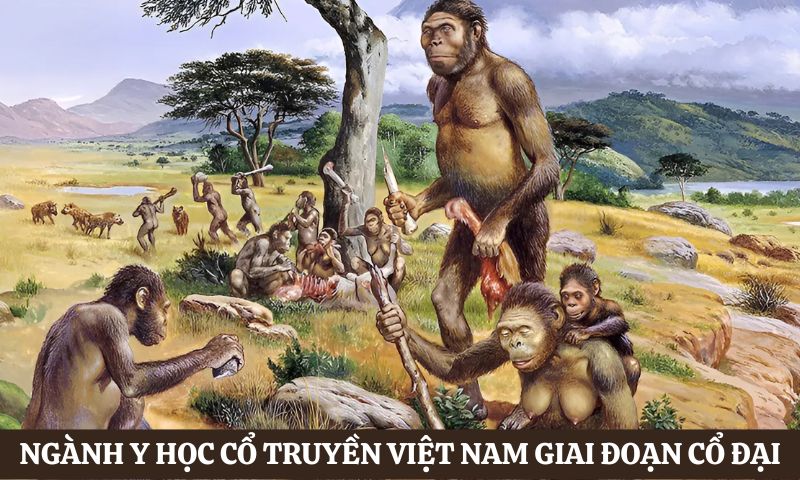 Lịch sử ngành y học cổ truyền Việt Nam
