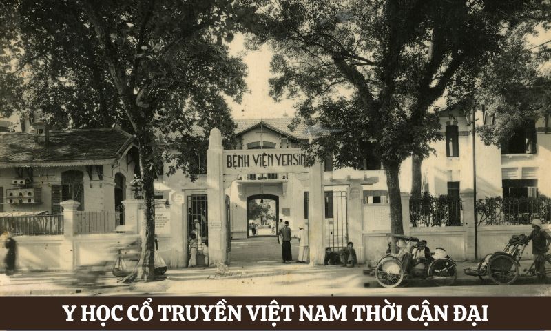 Lịch sử ngành y học cổ truyền Việt Nam thời cận đại
