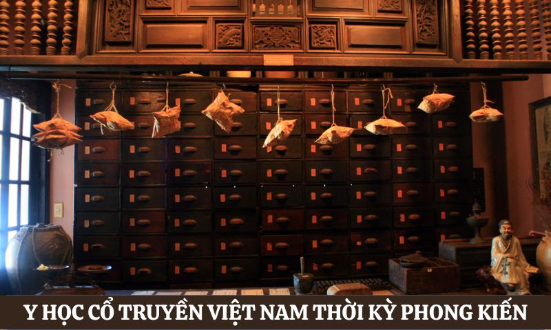 Lịch sử ngành y học cổ truyền Việt Nam thời phong kiến