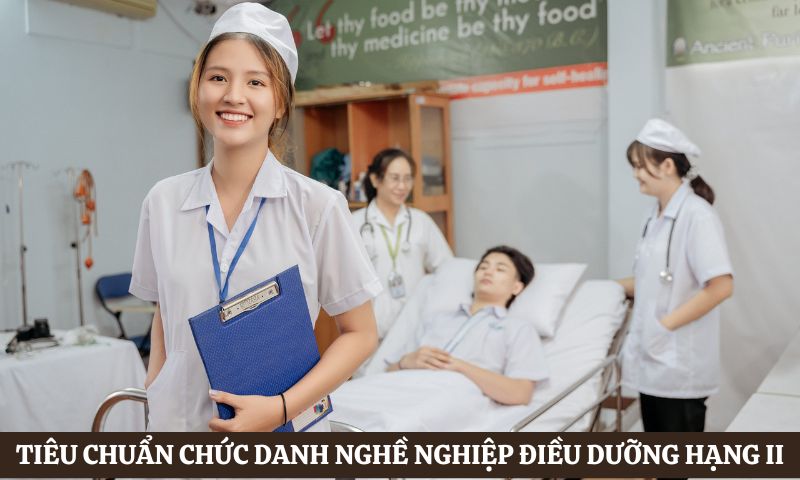 Tiêu chuẩn chức danh nghề nghiệp điều dưỡng hạng II