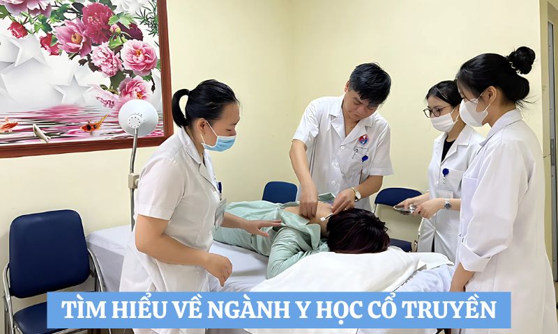 Học phí ngành y học cổ truyền 2025