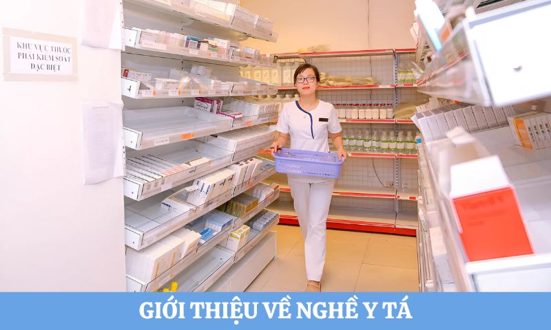 Lộ trình học y tá tại Việt Nam