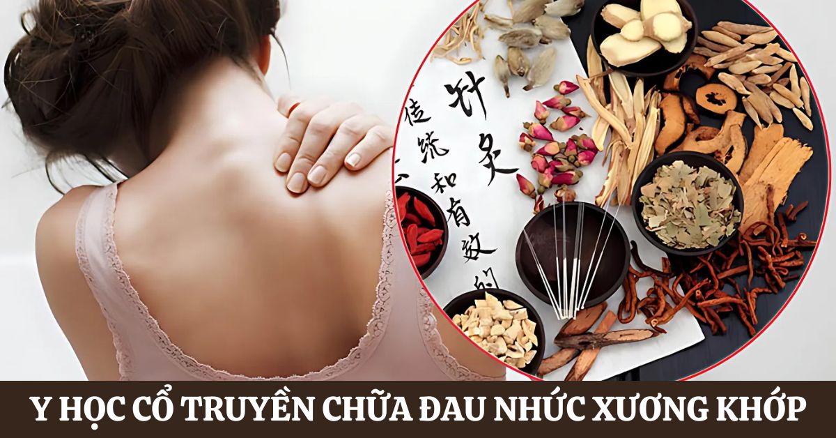 Y học Cổ truyền chữa đau nhức xương khớp: 5 bài thuốc an toàn