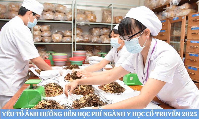 Yếu tố ảnh hưởng đến Học phí ngành y học cổ truyền 2025